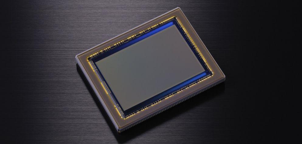 Nikon Sensorreinigung, Nikon Z9, Z7, Z6, D850, D750, D5600, Z50, Bildsensorreinigung