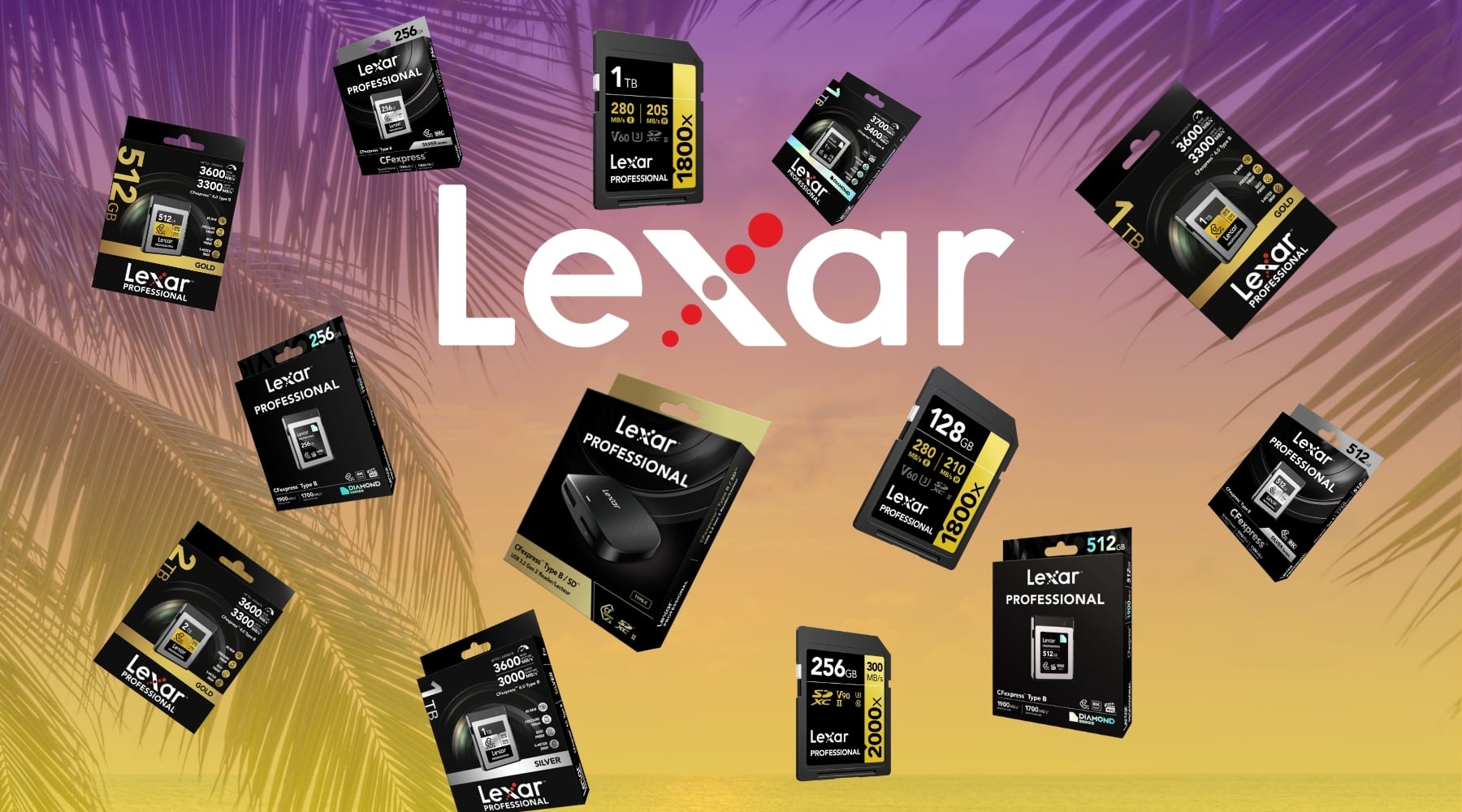 Lexar Speicherkarten für Nikon Kamera, Lexar Silver, Gold, Diamond Speicherkarten, Lexar SD V60 & V90 speicherkarten, 2in1 Kartenleser für CFexpress Typ B & SD Speicherkarten, Speicherkarten für Nikon Z5II, Z50II, Z8 Z9, Z6III, Z7II, Z6II, D780, D7500, D850, D6