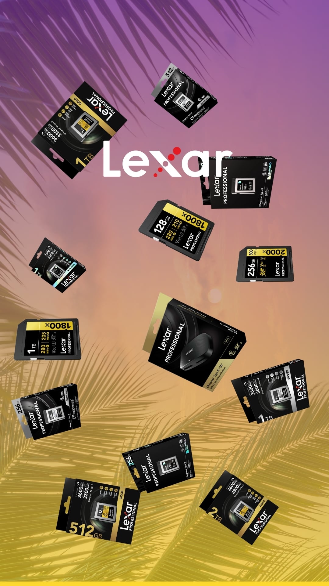 Lexar Speicherkarten für Nikon Kamera, Lexar Silver, Gold, Diamond Speicherkarten, Lexar SD V60 & V90 speicherkarten, 2in1 Kartenleser für CFexpress Typ B & SD Speicherkarten, Speicherkarten für Nikon Z5II, Z50II, Z8 Z9, Z6III, Z7II, Z6II, D780, D7500, D850, D6