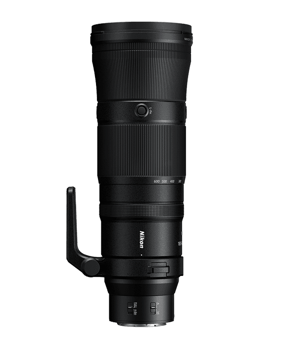 NIKKOR Z 180-600mm f 5.6-6.3 in Aktion bei der Aufnahme von Wildtieren, Kompatibilität des NIKKOR Z 180-600mm f/5.6-6.3 mit Telekonvertern für erhöhte Reichweite